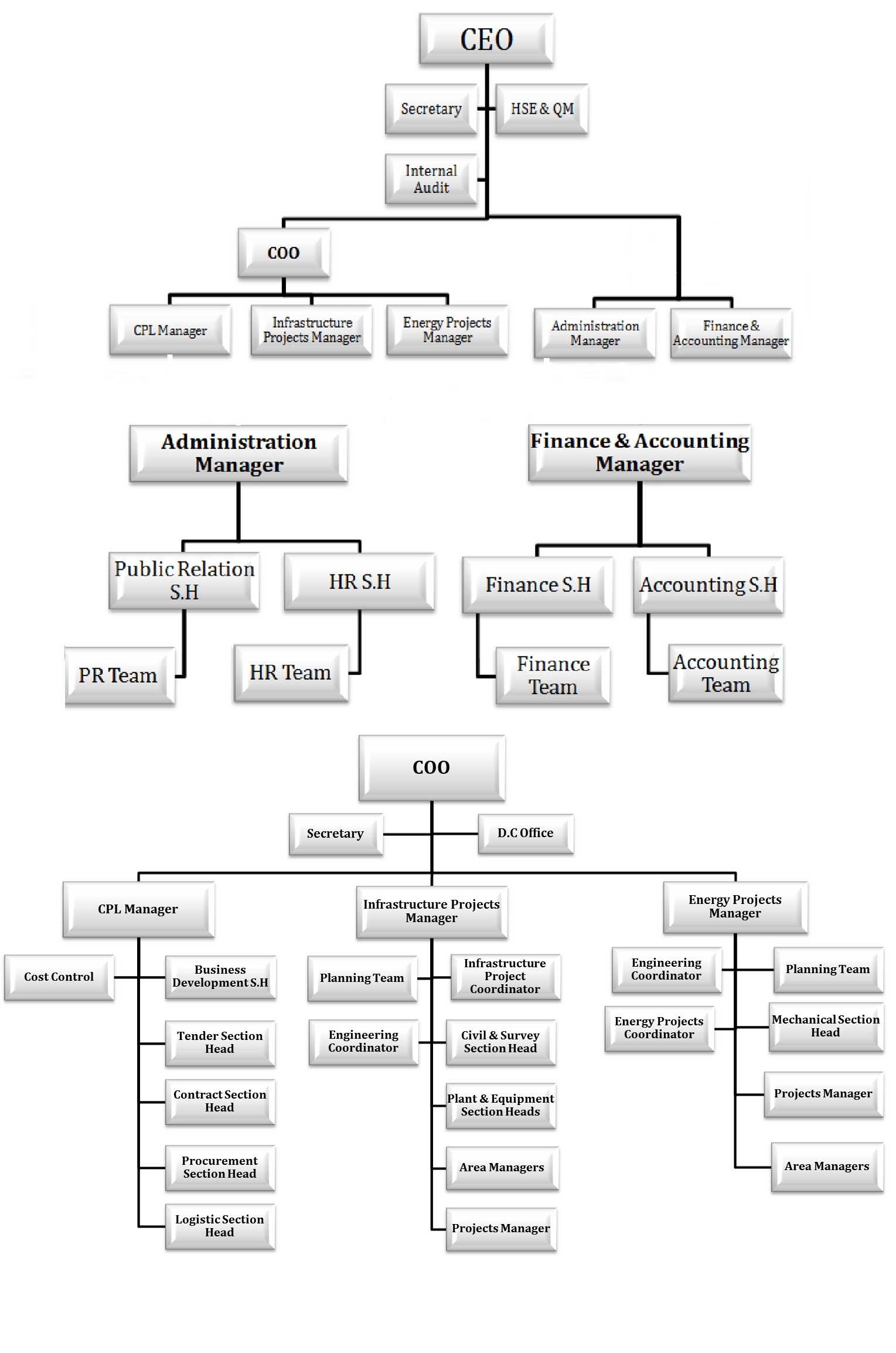 Ceo Org Chart